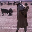 Afghani Farmer, Camel Market, Kabul